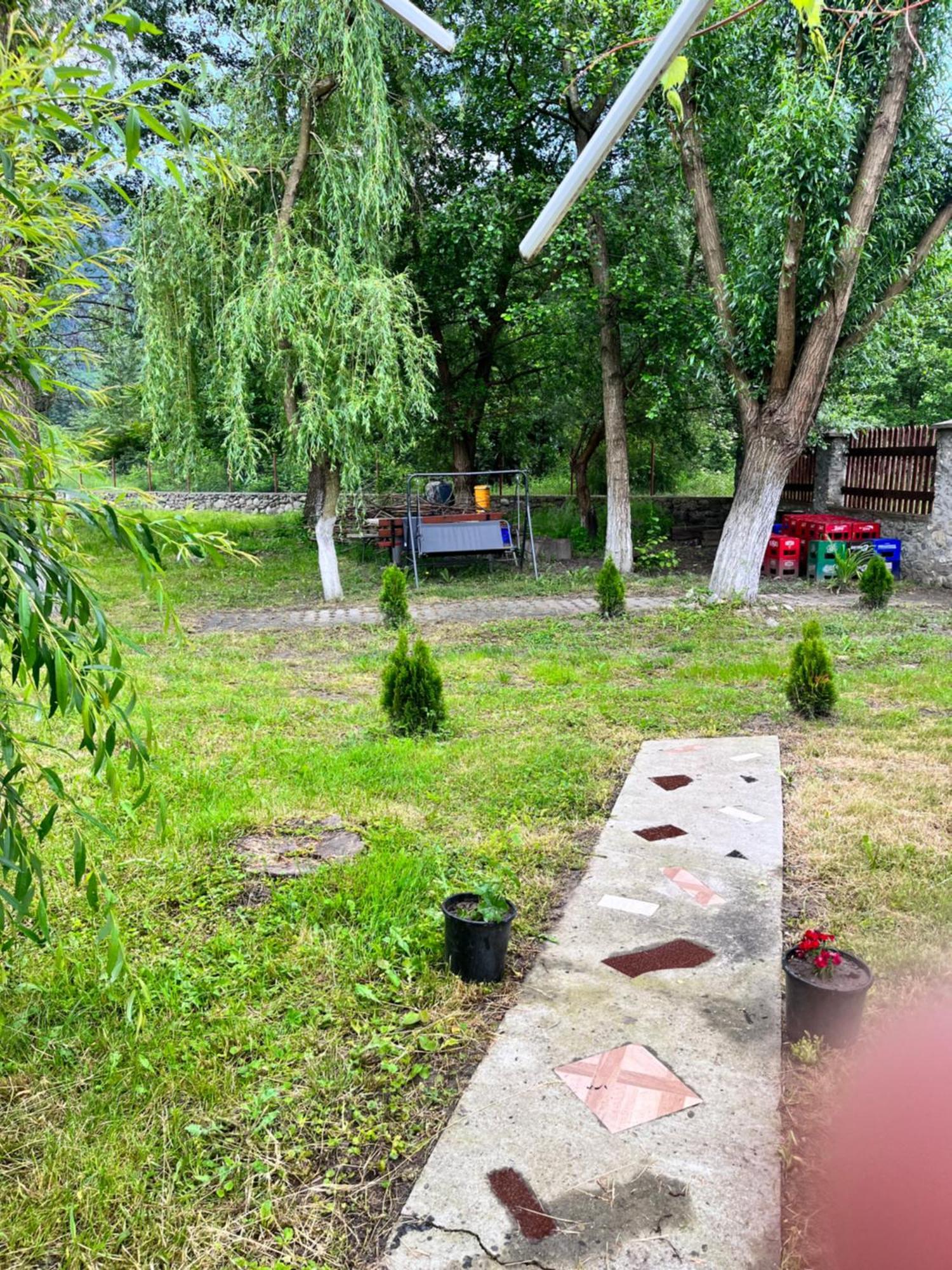 Camping La Gradina Mehadija