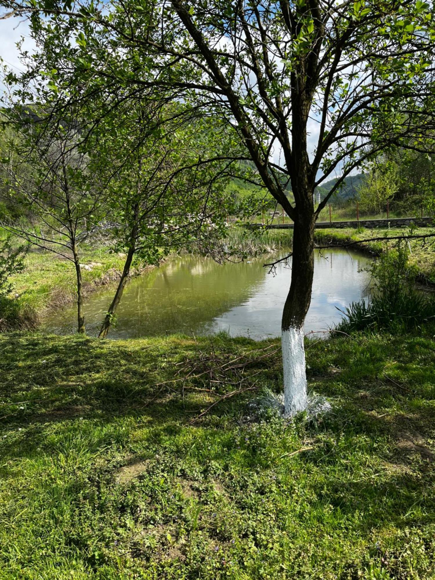 Camping La Gradina